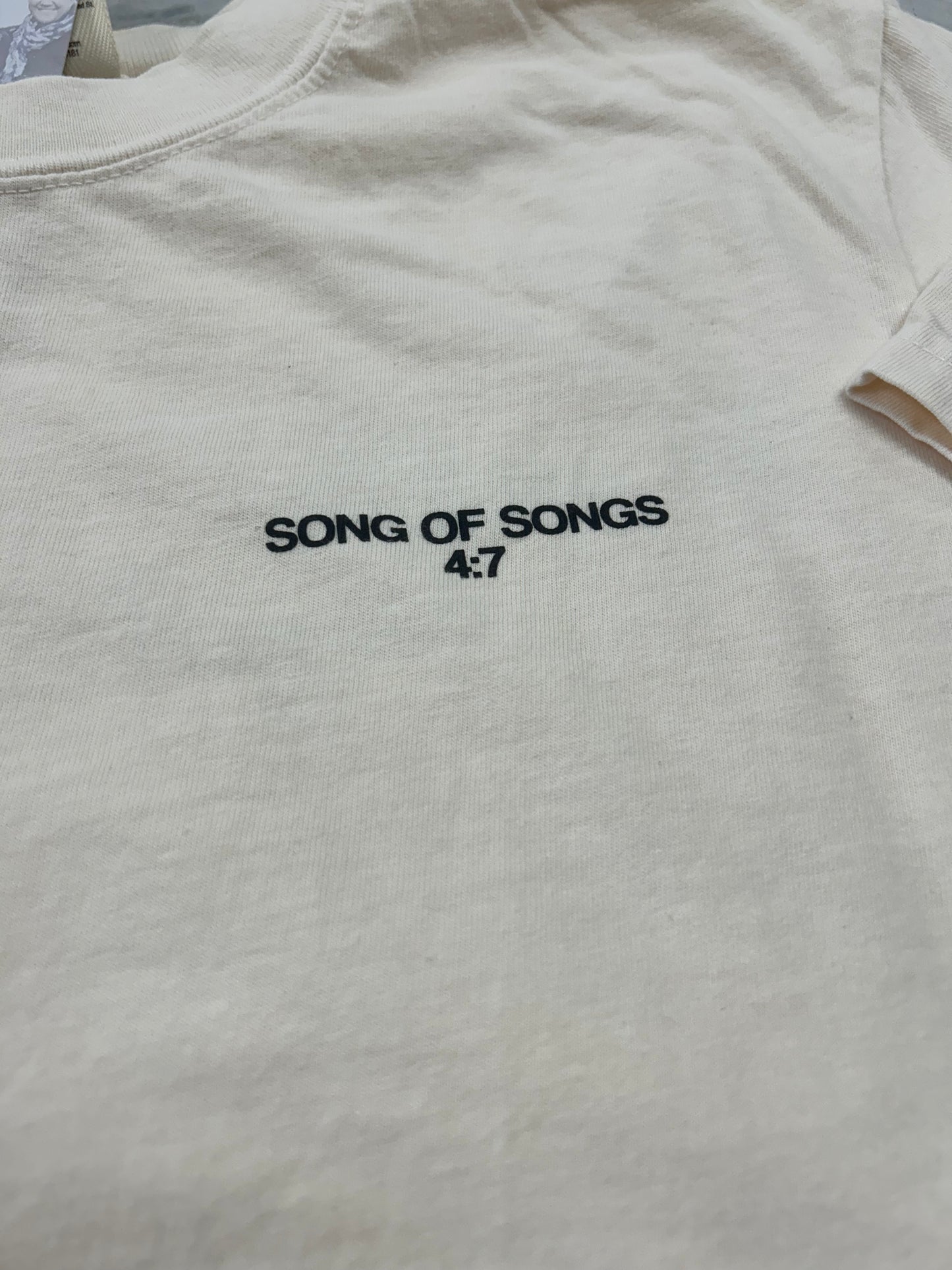 Song of Songs 4:7 Tshirt